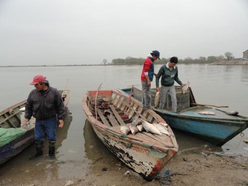 pescadores